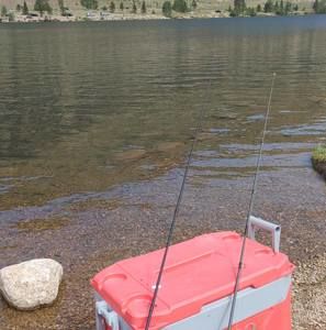 Meet your Posher, Joe